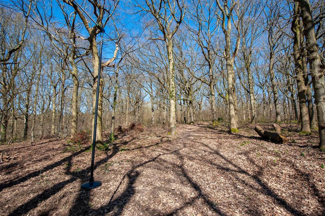 Photo of Buildings in Upper Harbledown