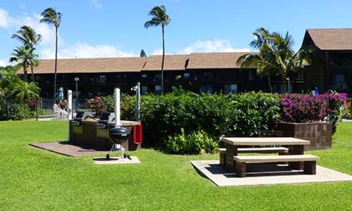 Photo of Others in Kaunakakai