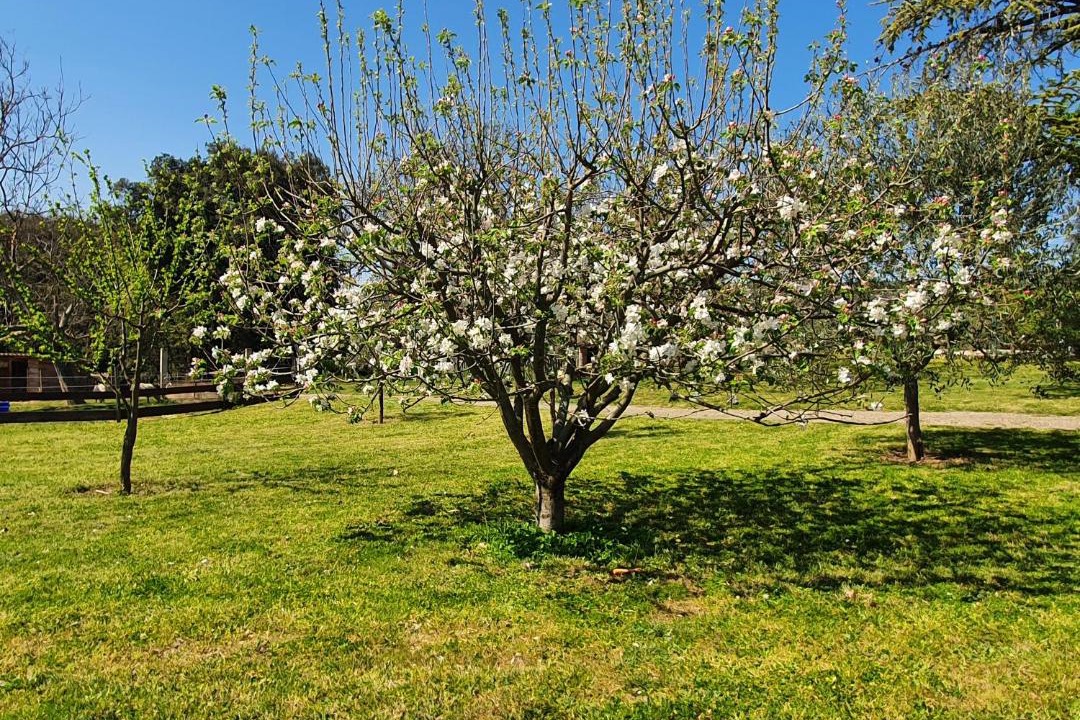 Photo of Others in Saint-Julien-de-Peyrolas