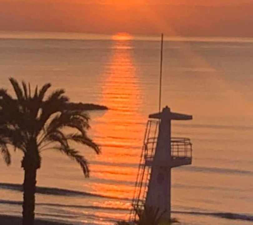Photo of Others in Raval Roig