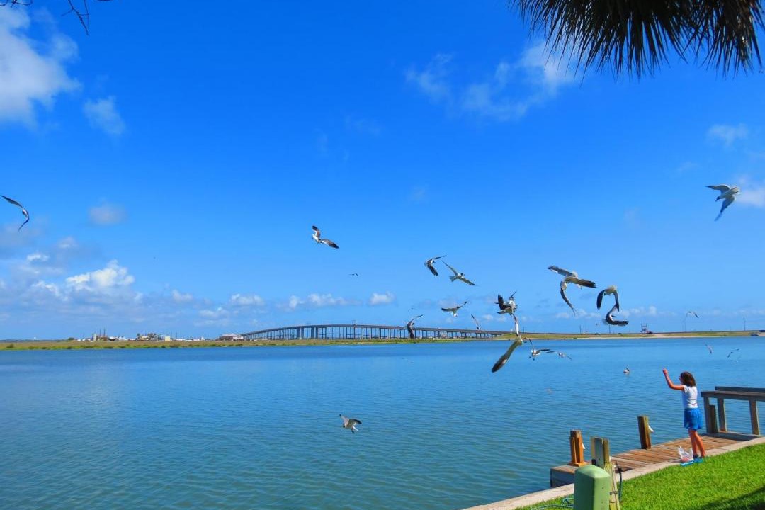 Photo of Others in Corpus Christi