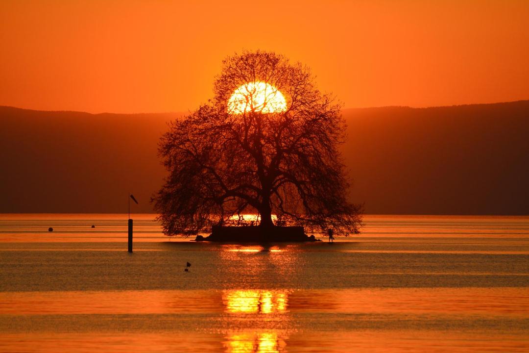 Photo of Others in Villeneuve