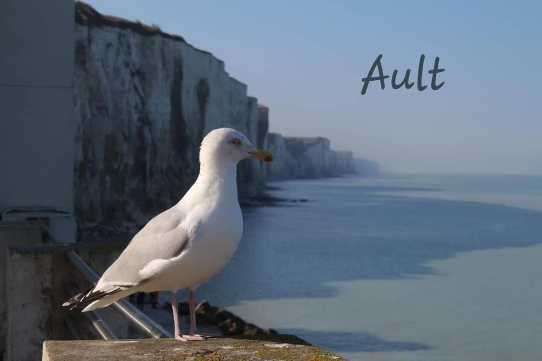 Photo of Others in Bethencourt-sur-Mer