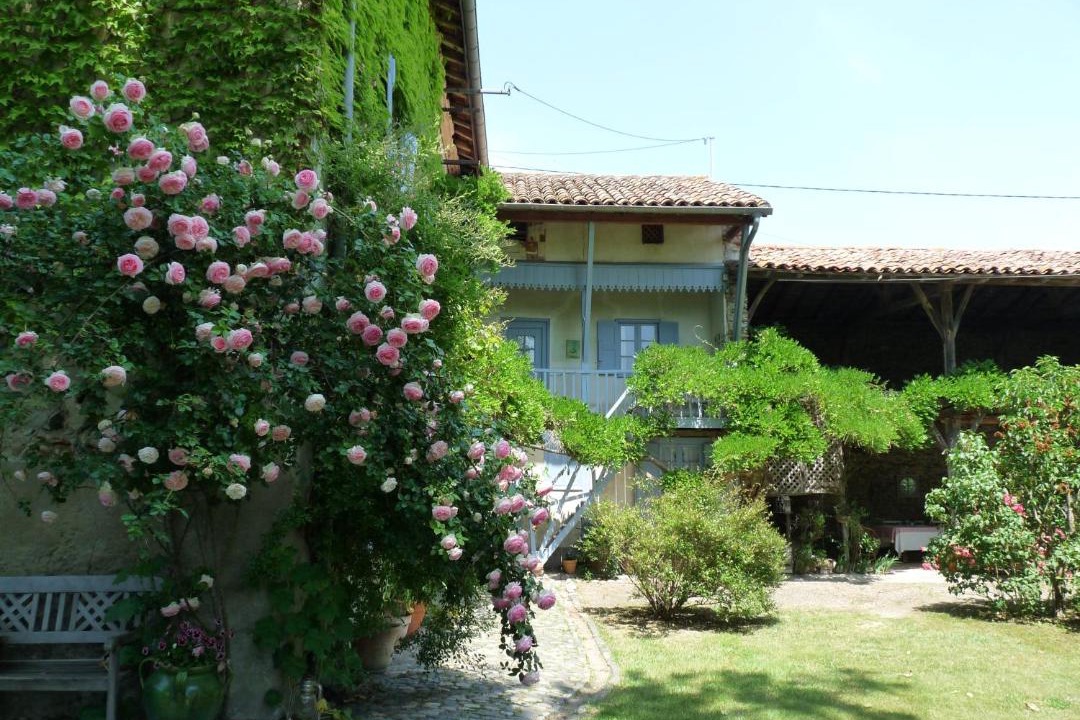 Photo of Others in Palaminy