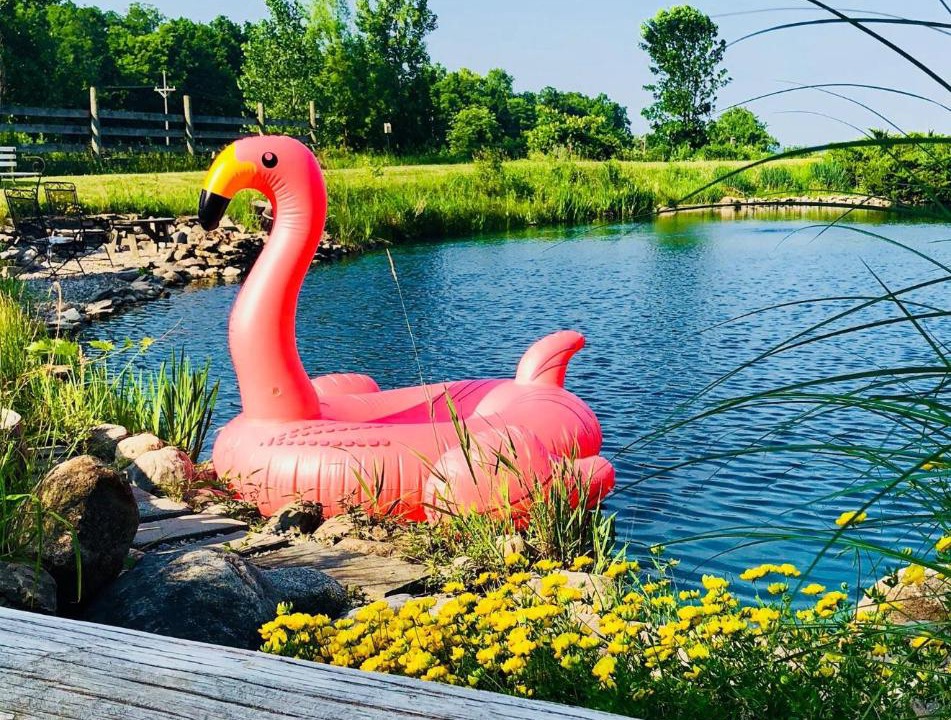 Photo of Others in Holcomb