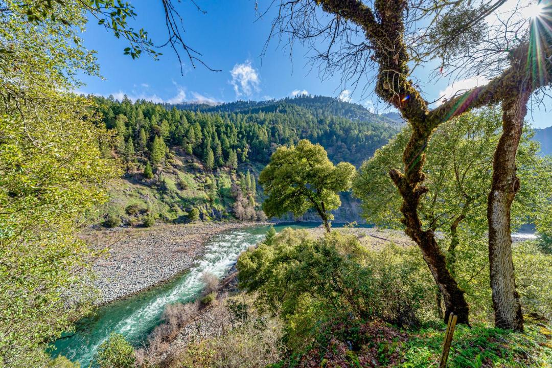 Photo of Others in Burnt Ranch