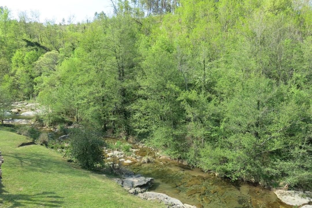 Photo of Others in Saint-Genest-de-Bauzon