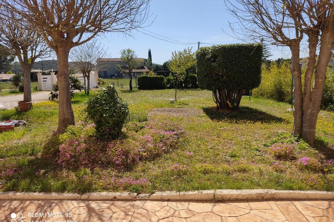 Photo of Others in Ales