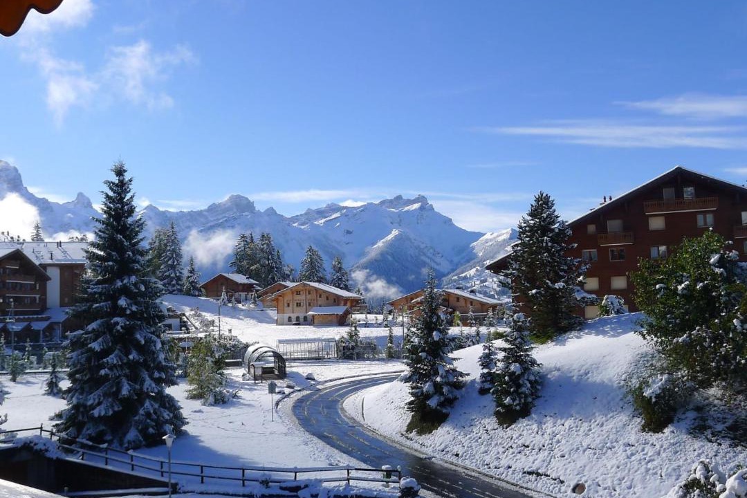 Photo of Others in Villars-sur-Ollon