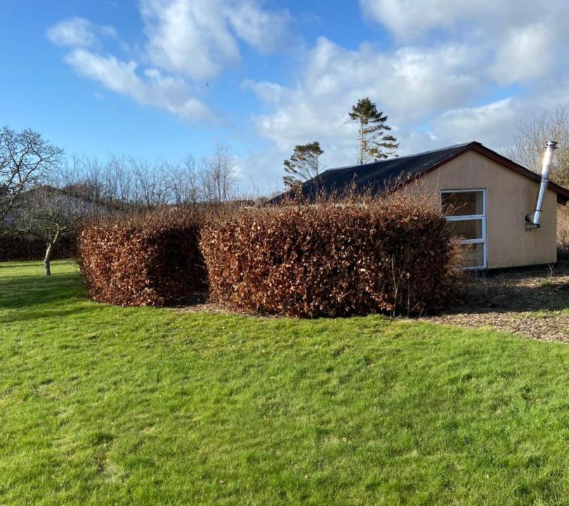Photo of Buildings in Svendborg