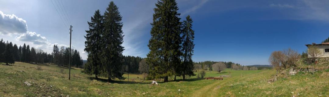 Photo of Others in La Brevine