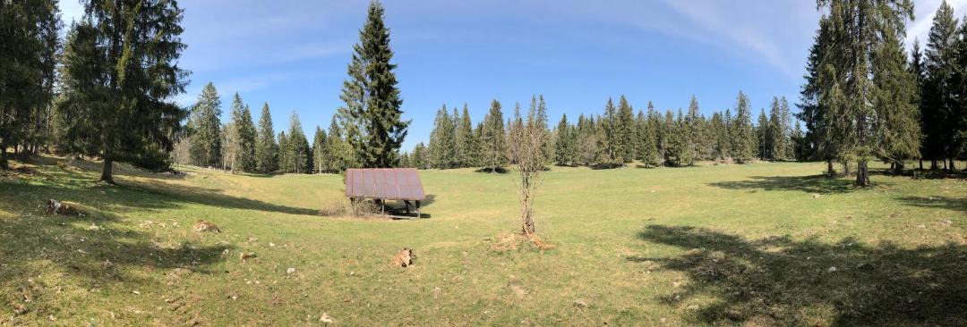 Photo of Others in La Brevine
