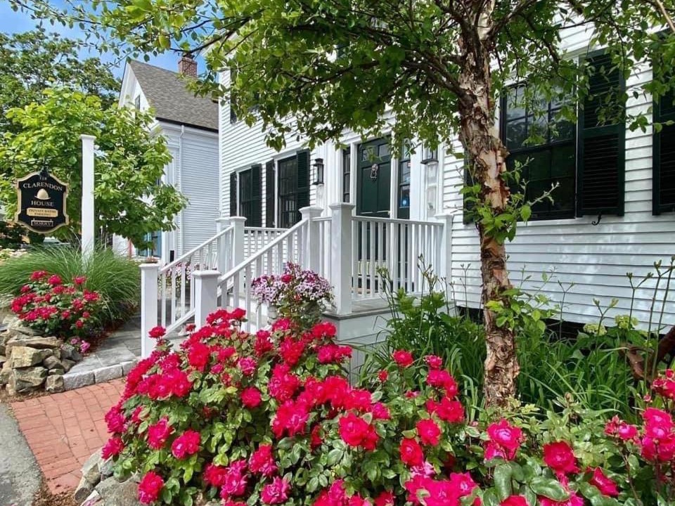 Photo of Others in Provincetown