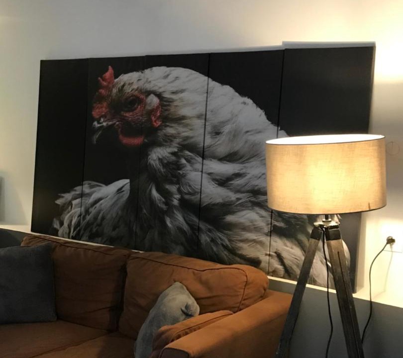 Photo of Others in Fontaines-Saint-Martin