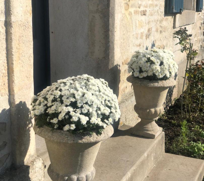 Photo of Others in Damvix