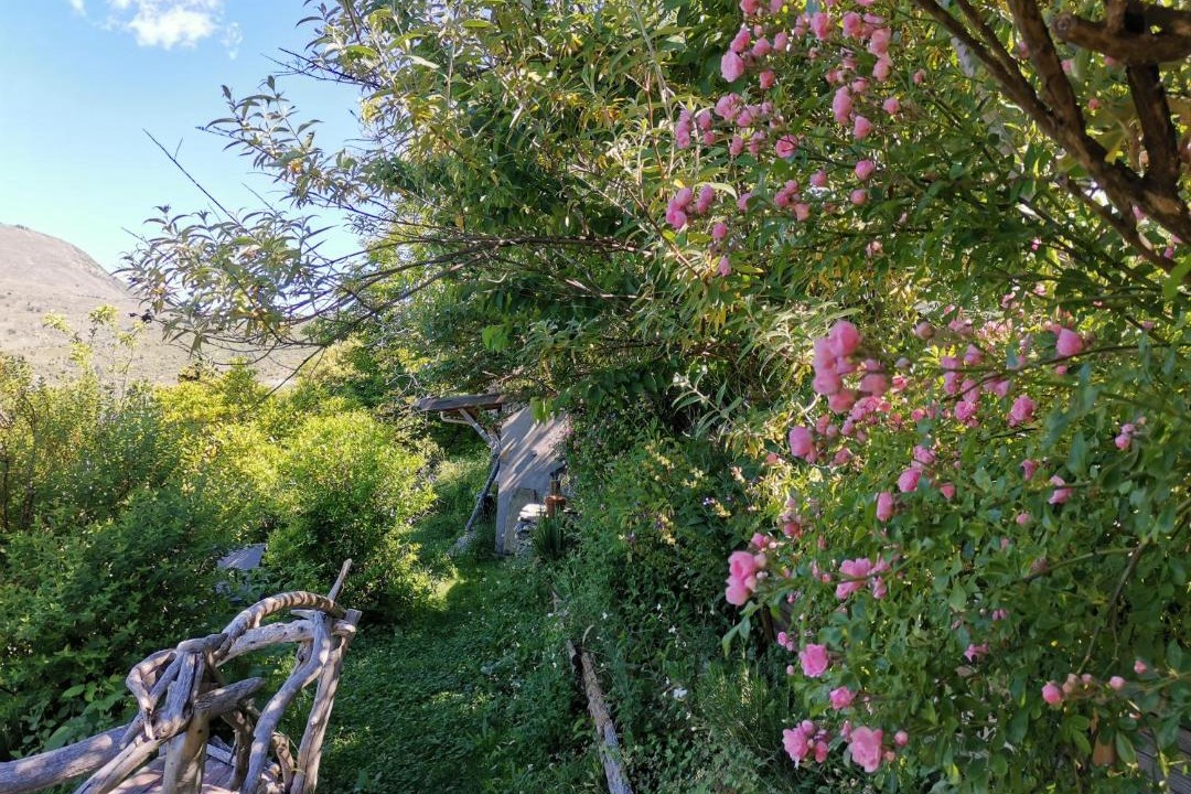 Photo of Others in Alando