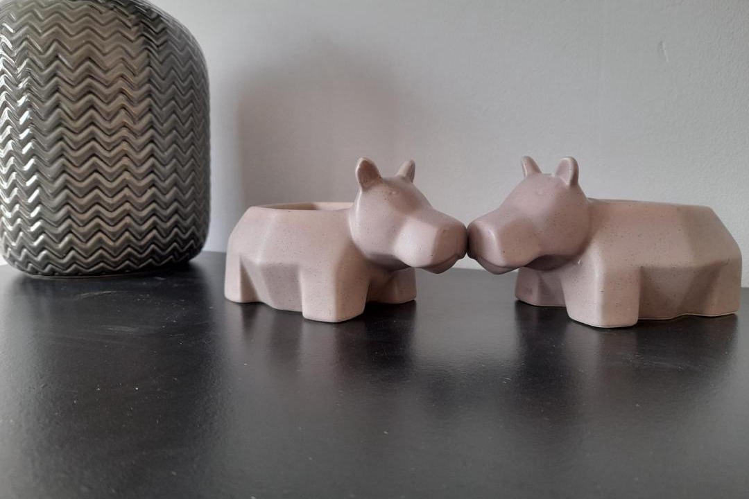 Photo of Others in Teignmouth