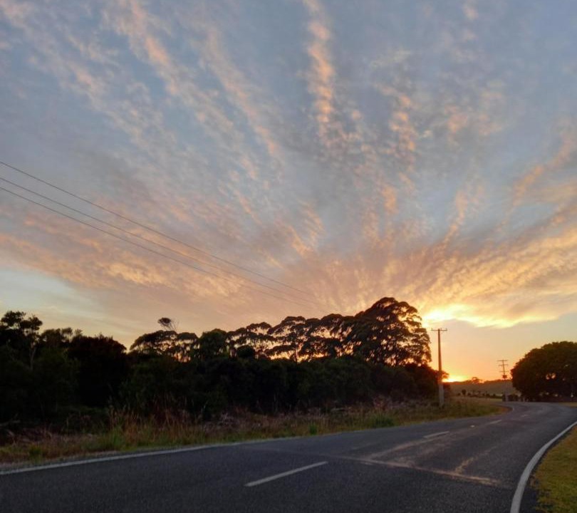 Photo of Outdoor in Pukenui