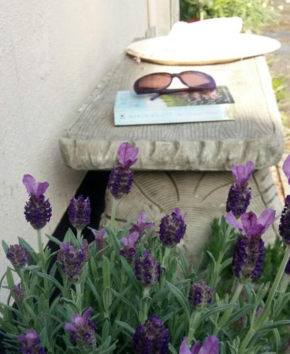 Photo of Others in Buckfastleigh