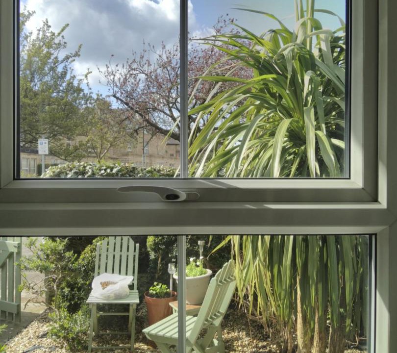 Photo of Others in Harrogate