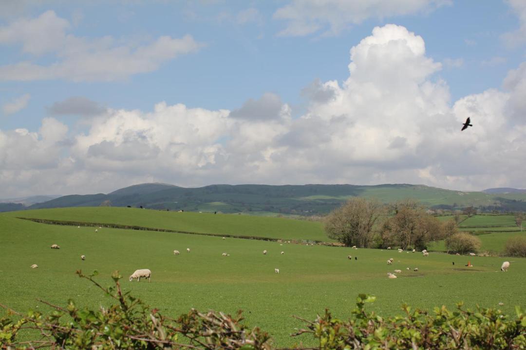 Photo of Outdoor in Kendal