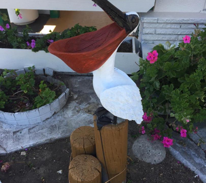 Photo of Others in Munras Avenue