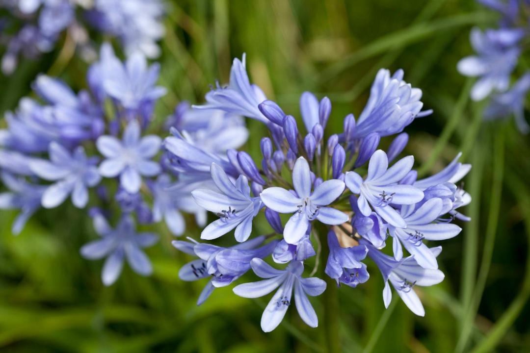 Photo of Outdoor in Cancale