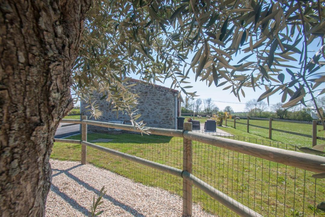 Photo of Others in Couffe