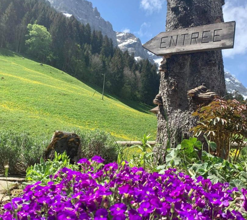 Photo of Others in Champery