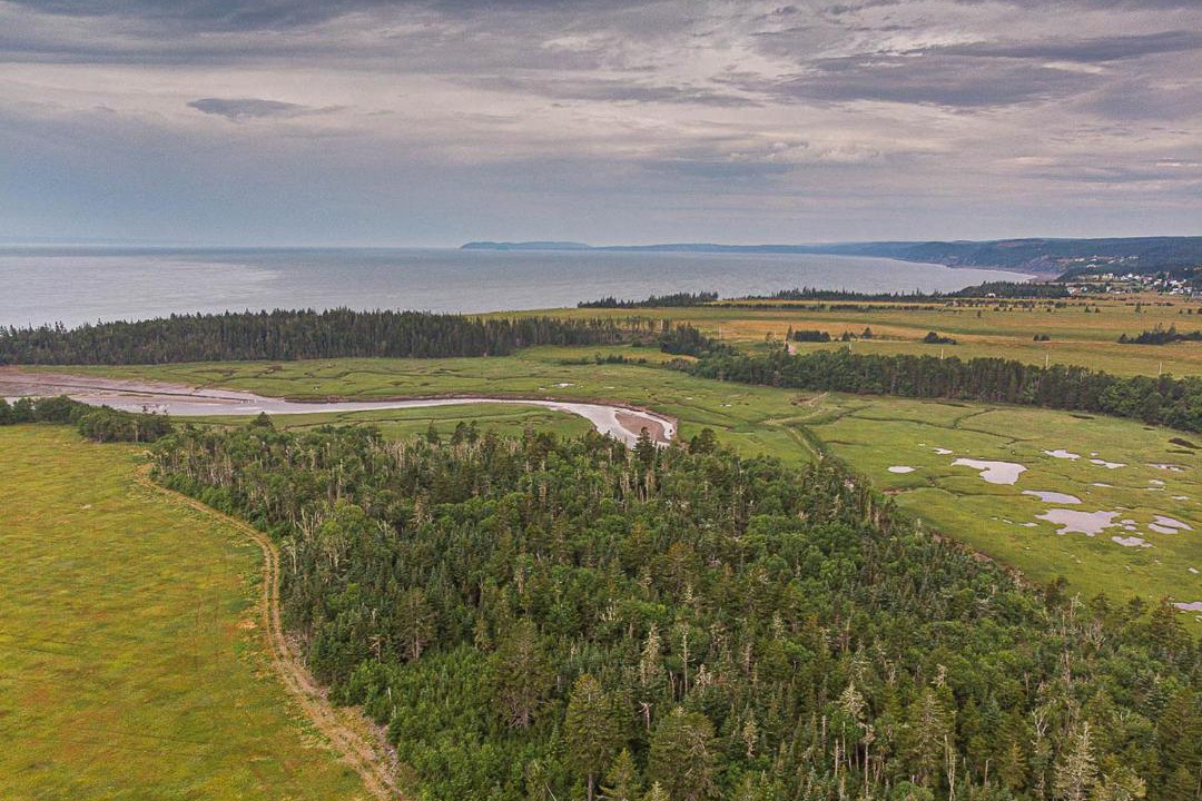 Photo of Outdoor in Fox River
