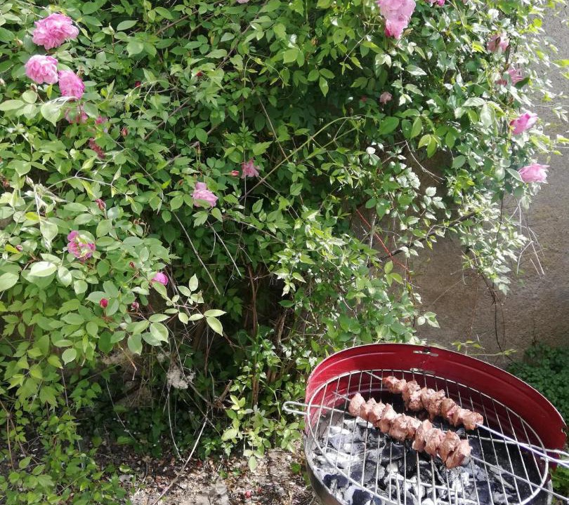 Photo of Outdoor in Langeais