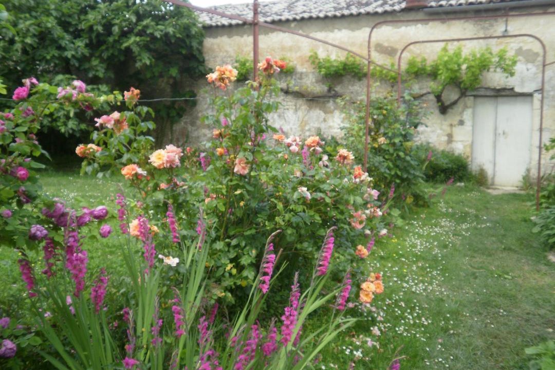 Photo of Others in Sablonceaux