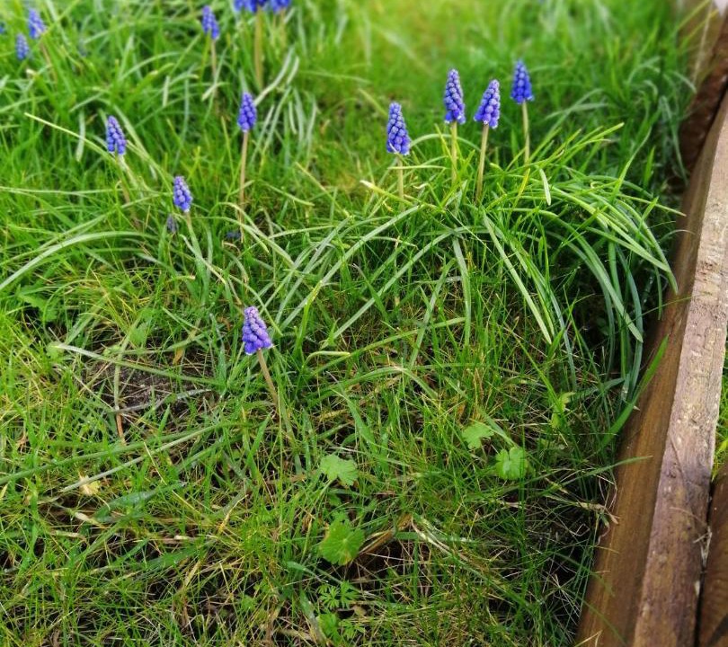 Photo of Outdoor in Ingrannes