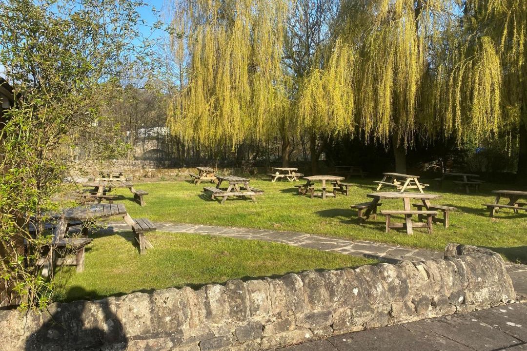 Photo of Others in Mayfield