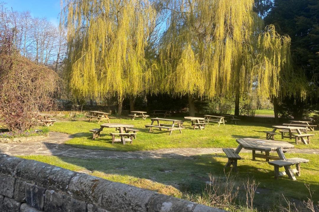 Photo of Others in Mayfield