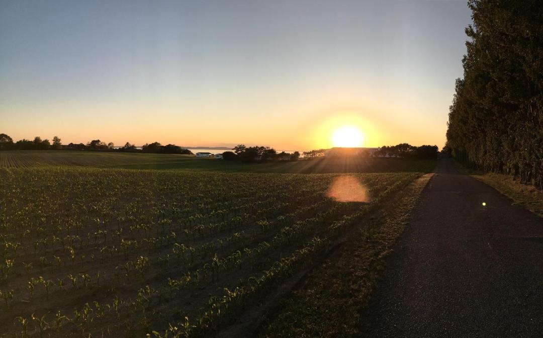 Photo of Others in Middelfart