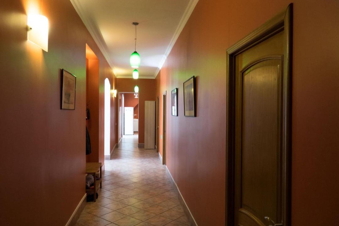 Photo of Others in Admiralteysky Area