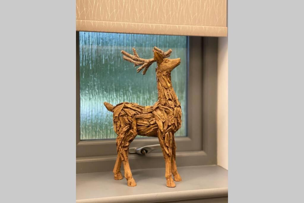 Photo of Others in Inverness