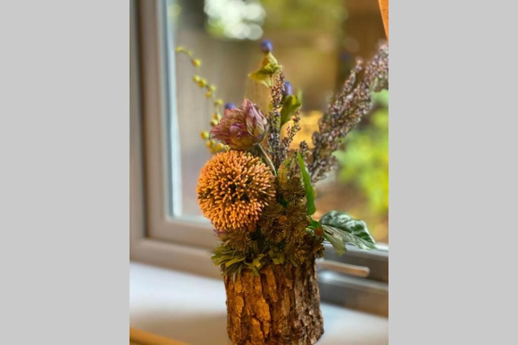 Photo of Others in Inverness