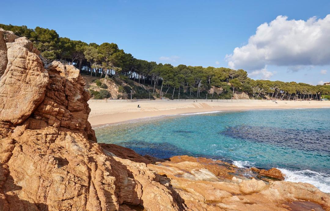 Photo of Others in Lloret de Mar