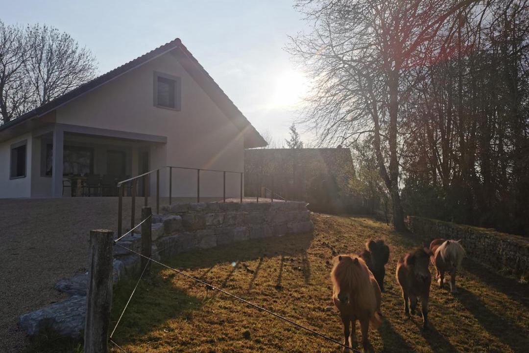 Photo of Others in Le Fied