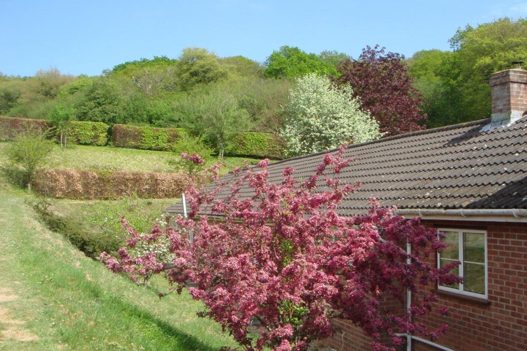 Photo of Others in Yellowham Wood