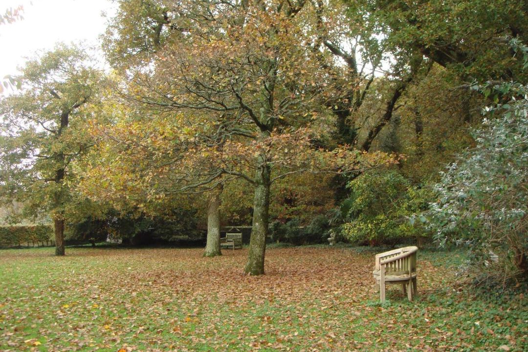 Photo of Others in Yellowham Wood