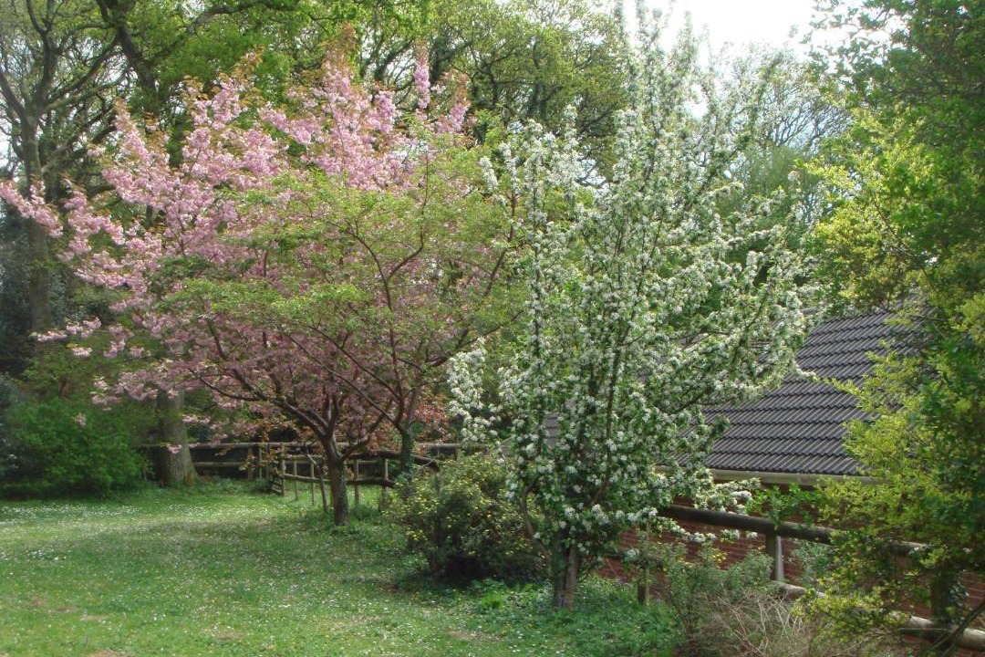 Photo of Others in Yellowham Wood