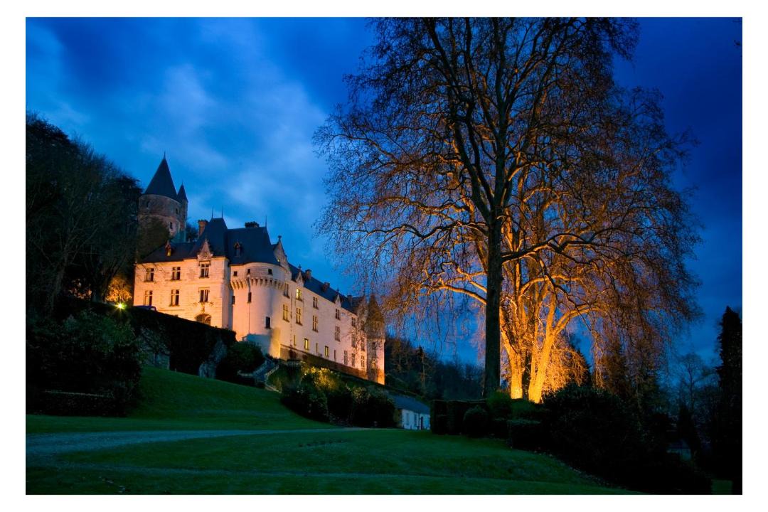 Photo of Others in Chissay-en-Touraine