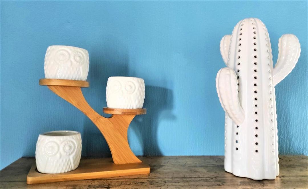 Photo of Others in Tarascon-sur-Ariege