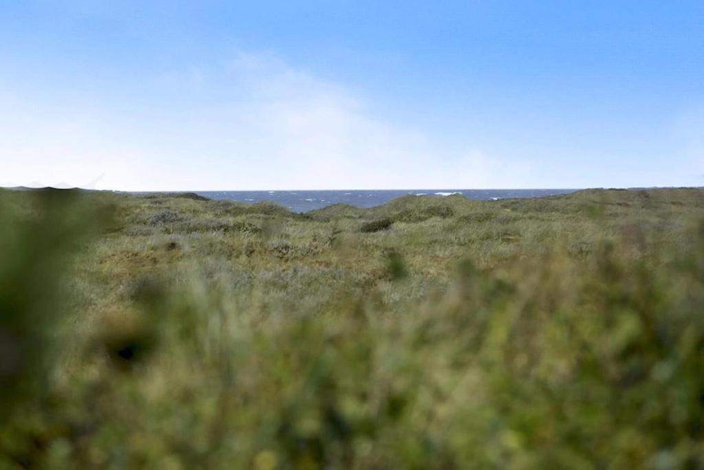 Photo of Others in Rødhus