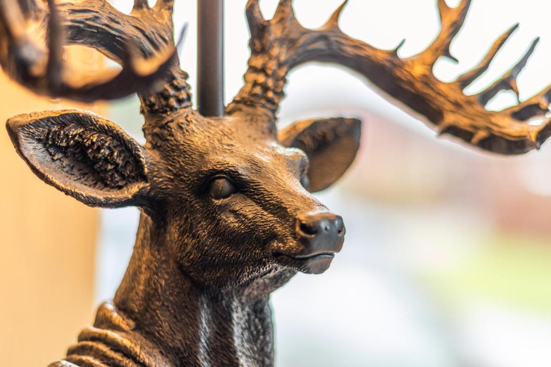 Photo of Others in Malton