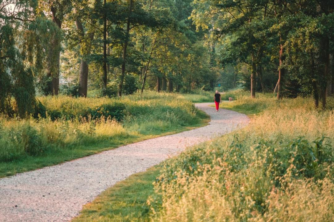 Photo of Others in Energy Corridor
