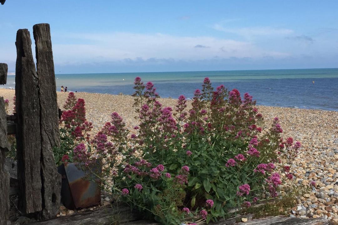 Photo of Outdoor in Pevensey